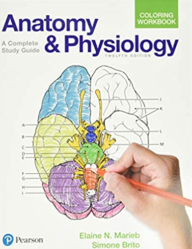 Anatomy and Physiology Coloring Workbook: A Complete Study Guide 12th Edition, ISBN-13: 978-0134459363