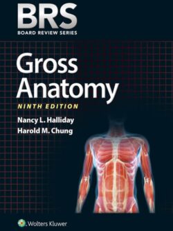 BRS Gross Anatomy (9th Edition) – (Board Review Series) – eBook