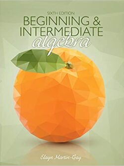 Beginning & Intermediate Algebra (6th Edition) – eBook