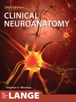 Clinical Neuroanatomy (29th Edition) – eBook