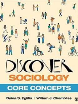 Discover Sociology: Core Concepts – eBook