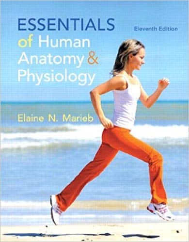 Essentials of Human Anatomy & Physiology (11th Edition) – eBook