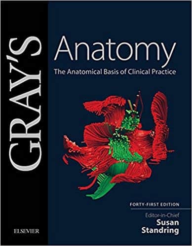 Gray’s Anatomy: The Anatomical Basis of Clinical Practice (41st Edition) – eBook