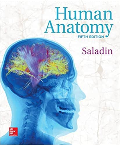 Human Anatomy (5th Edition) – Kenneth Saladin – eBook