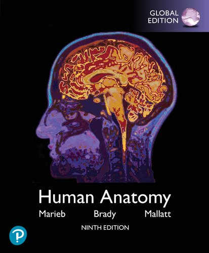 Human Anatomy (9th Global Edition) – Marieb/Mallatt/Brady – eBook