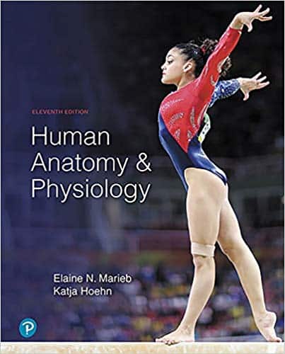 Human Anatomy & Physiology (11th Edition) – Marieb and Hoehn – eBook