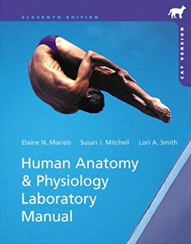 Human Anatomy & Physiology: Cat Version 11th Edition, ISBN-13: 978-0321822192