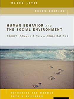 Human Behavior and the Social Environment, Macro Level (3rd Edition) eBook