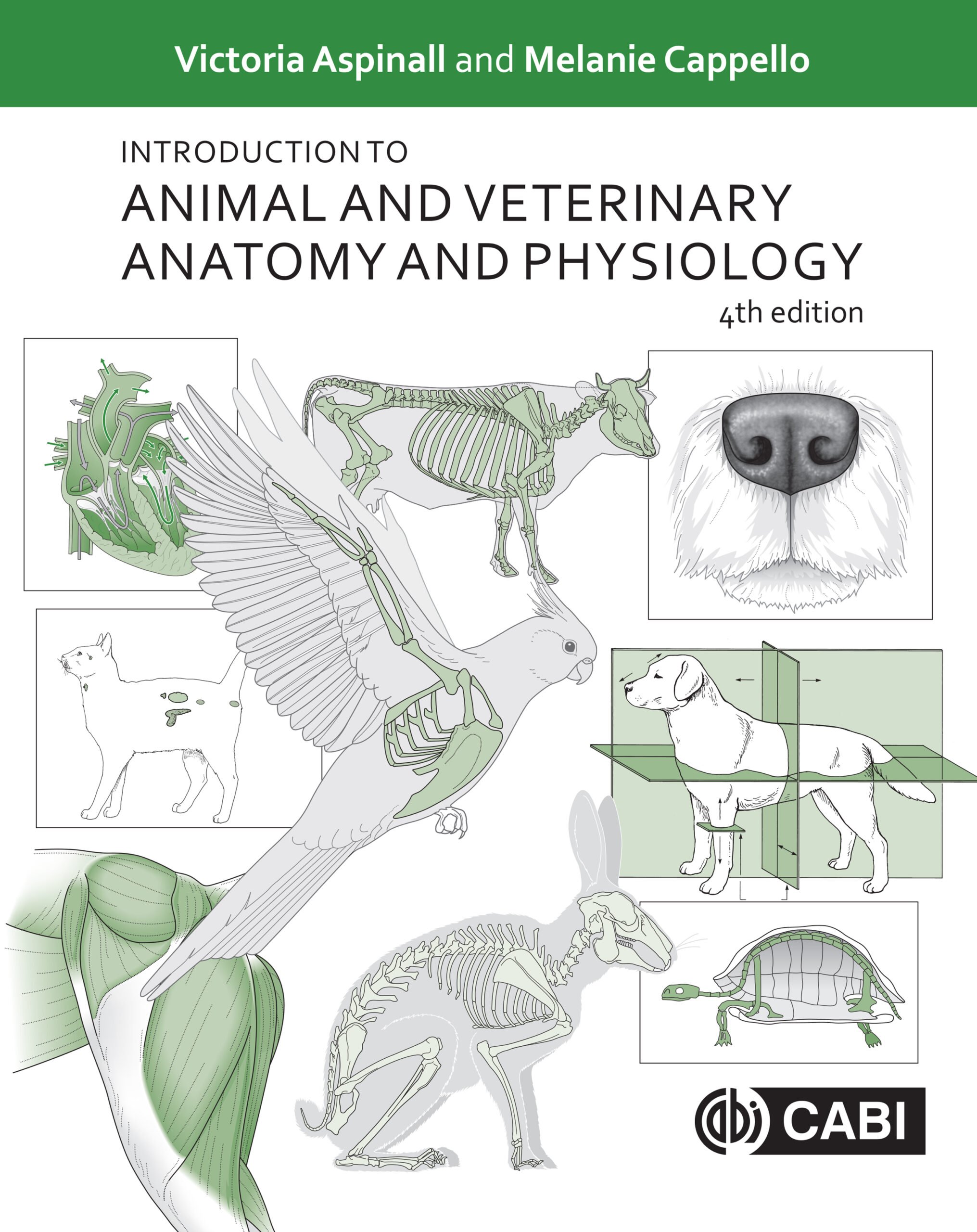 Introduction to Animal and Veterinary Anatomy and Physiology (4th Edition) – eBook