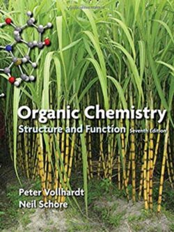 Organic Chemistry: Structure and Function (7th edition) – eBook