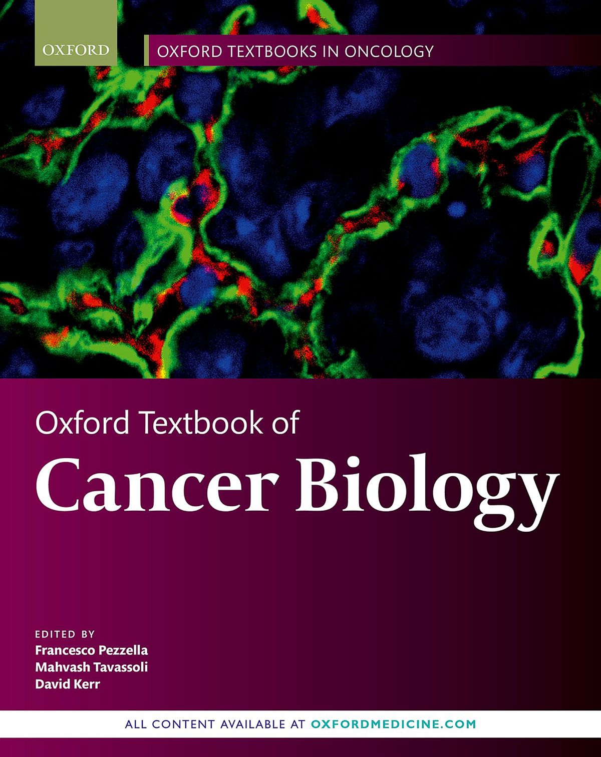 Oxford Textbook of Cancer Biology – eBook