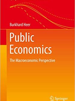 Public Economics: The Macroeconomic Perspective – eBook