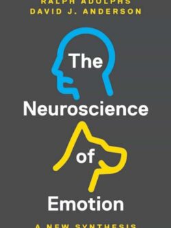 The Neuroscience of Emotion: A New Synthesis – eBook