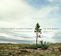 The Oldest Living Things in the World – eBook