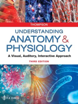 Understanding Anatomy and Physiology: A Visual, Auditory, Interactive Approach (3rd Edition) – eBook